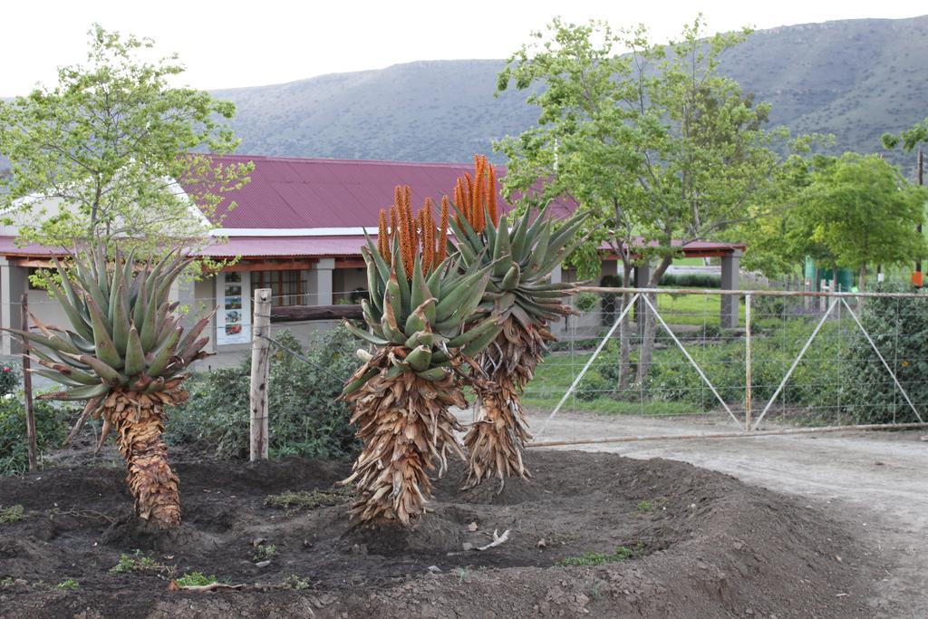 Mountain View Country Guest House Cradock Extérieur photo