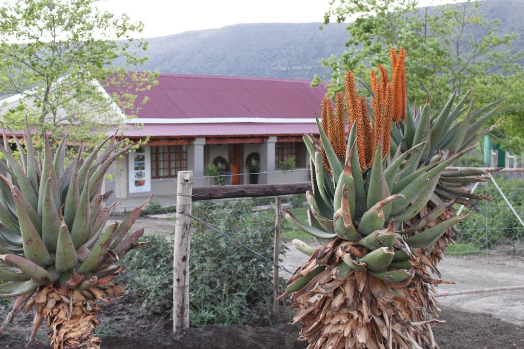 Mountain View Country Guest House Cradock Extérieur photo