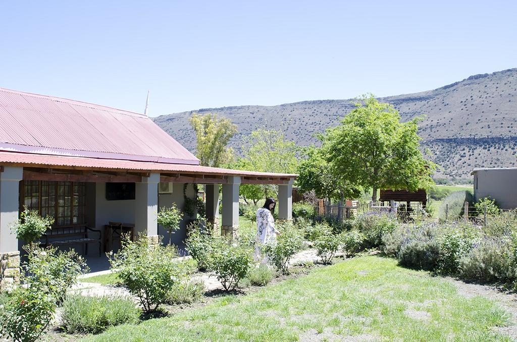 Mountain View Country Guest House Cradock Extérieur photo