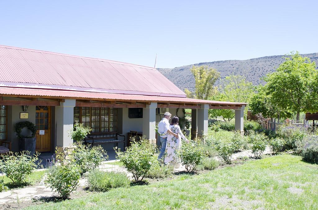 Mountain View Country Guest House Cradock Extérieur photo