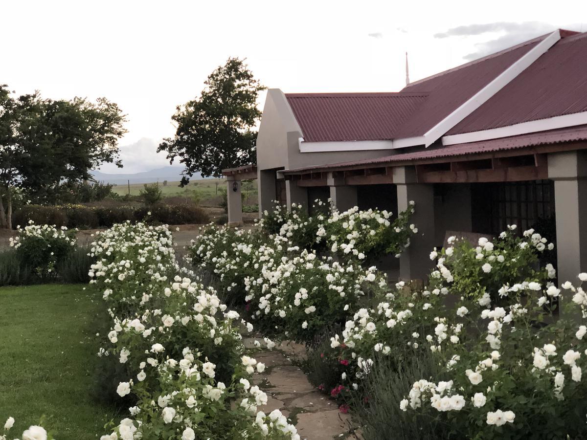 Mountain View Country Guest House Cradock Extérieur photo